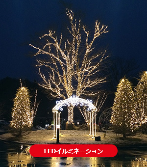 LEDイルミネーション
